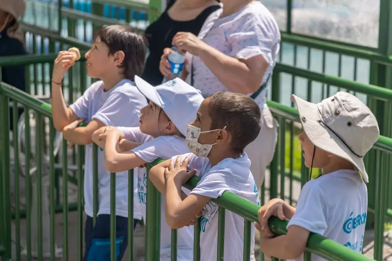 Niños miran desde la baranda de un mirador del parque